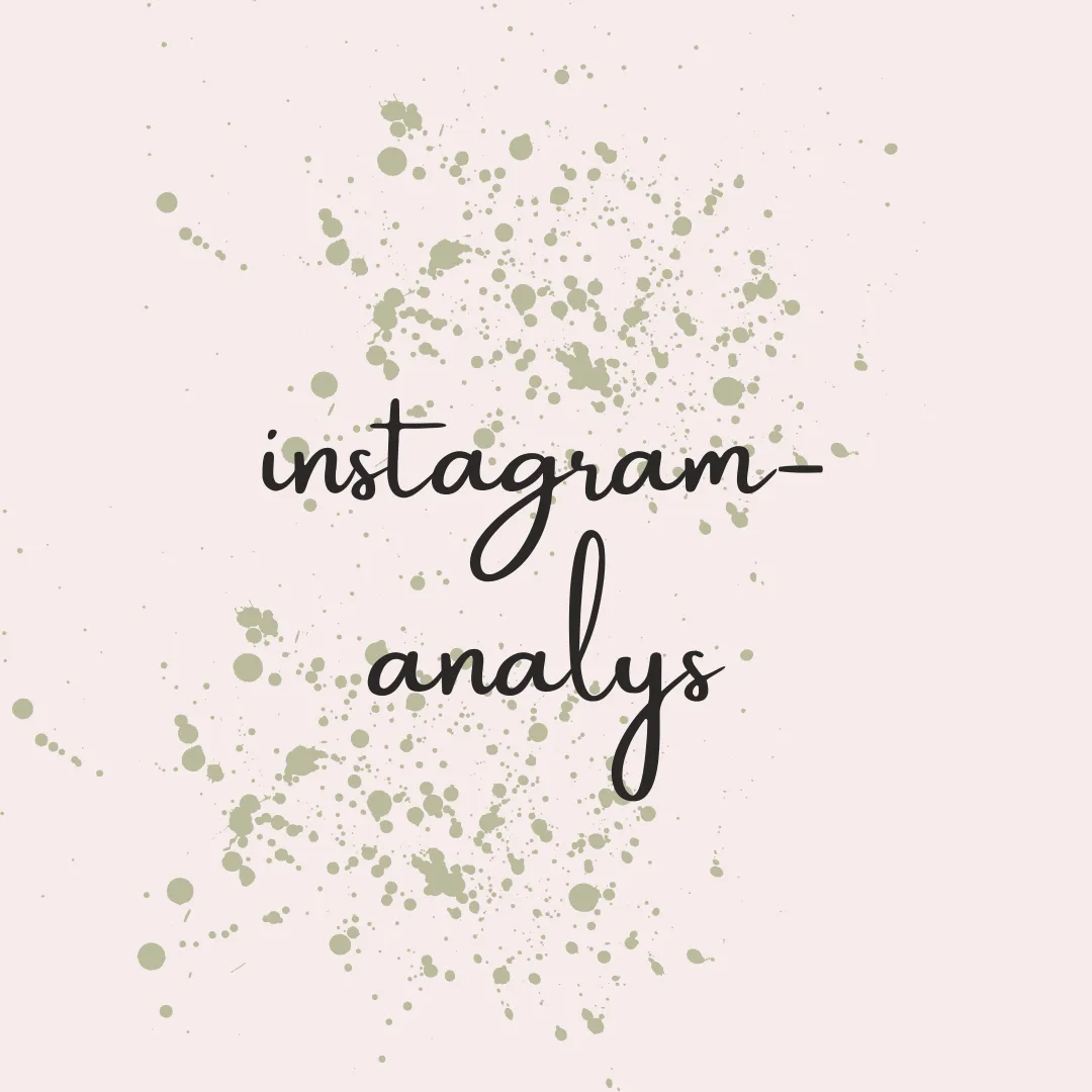Instagram-analys