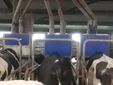 DeLaval 2x9 milking parlour
