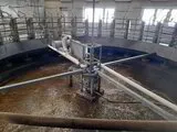 GEA 36 stands milking parlour