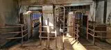 DeLaval 2x14 milking parlour