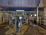 GEA 2x8 milking parlour