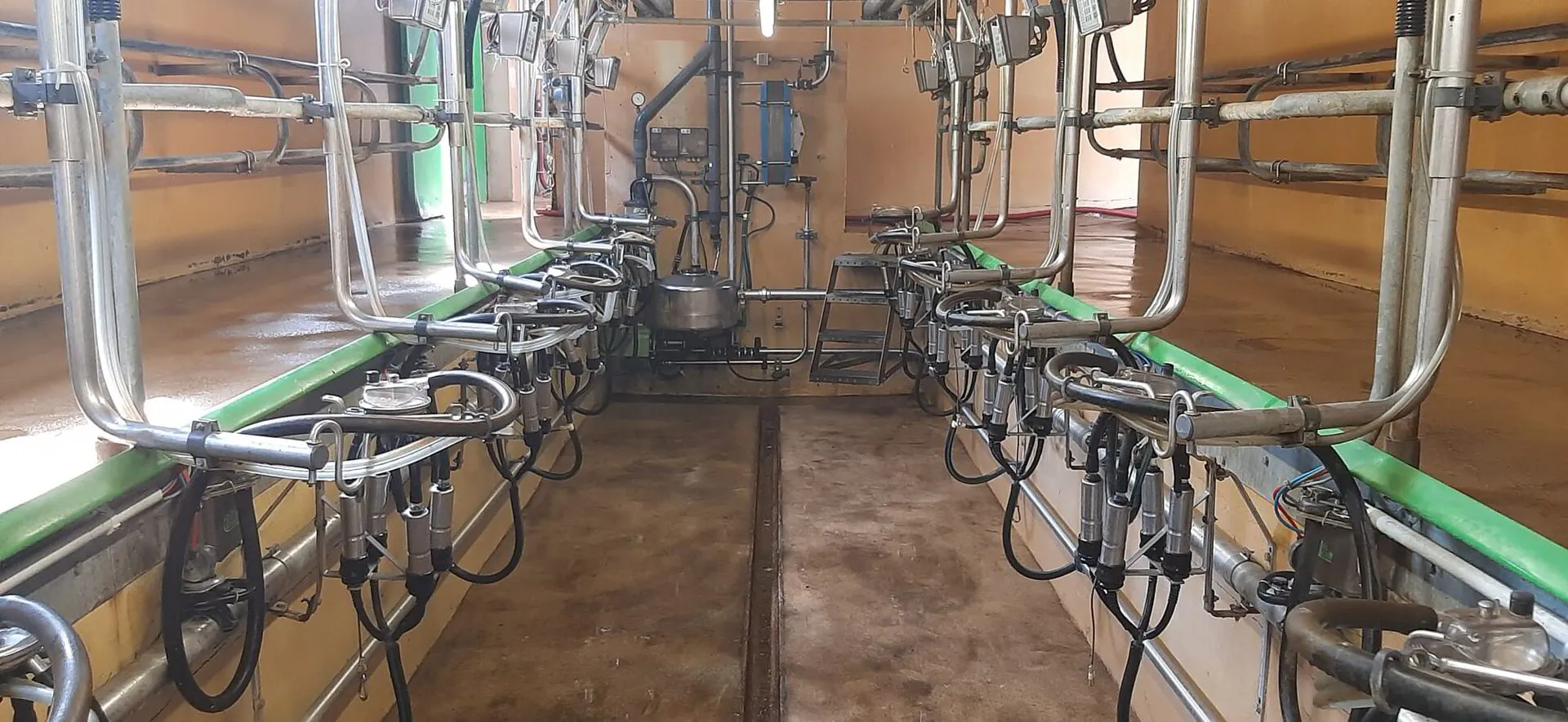 Westfalia 2x6 milking parlour