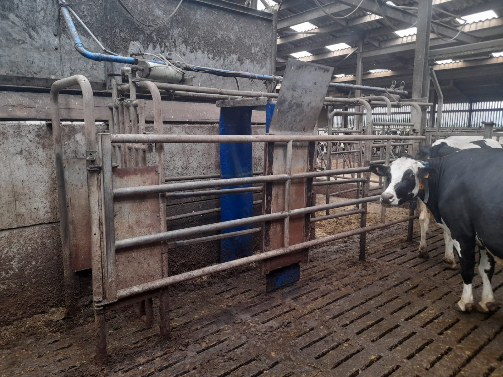 DeLaval selection gate