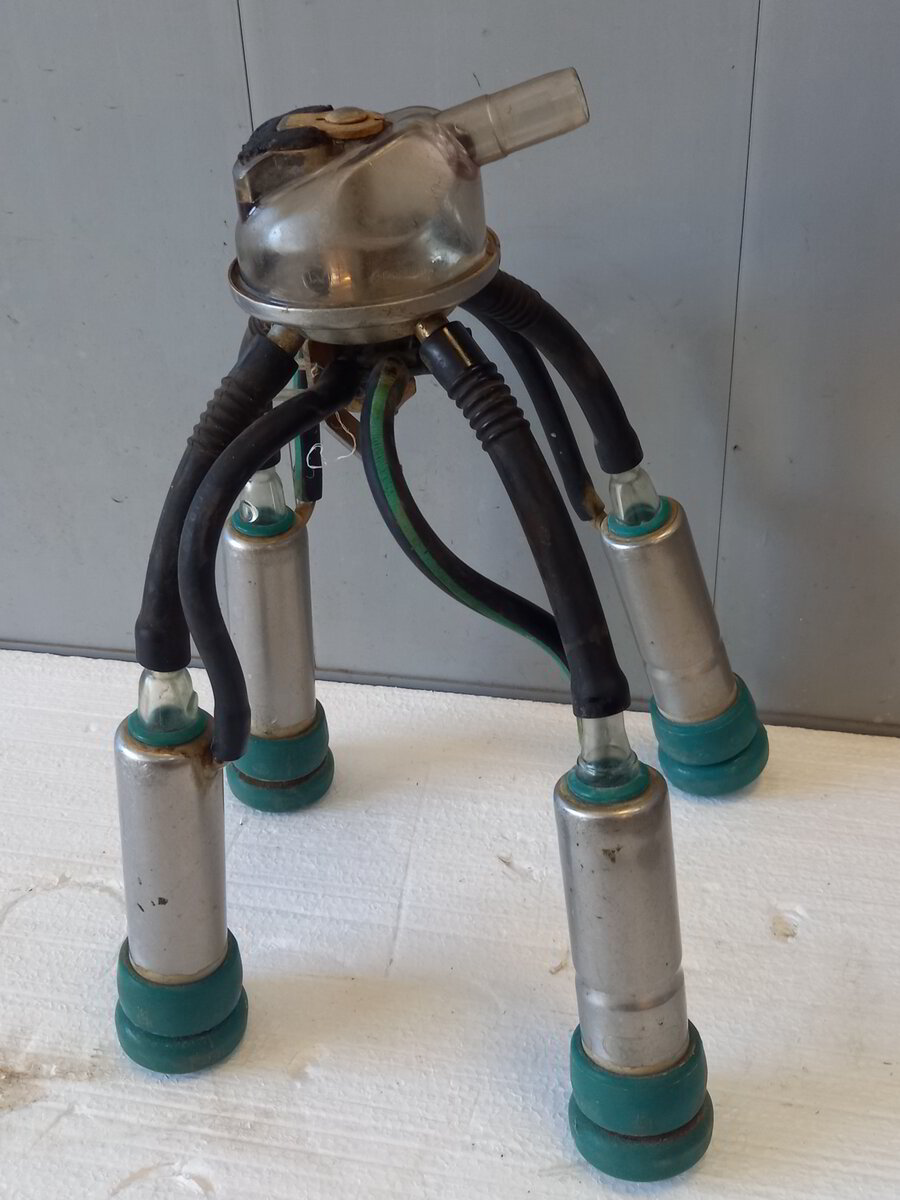 Westfalia/GEA Classic Milking Claw
