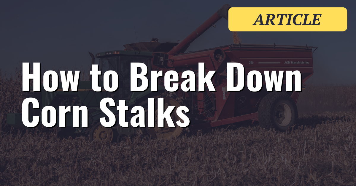 How to Break Down Corn Stalks