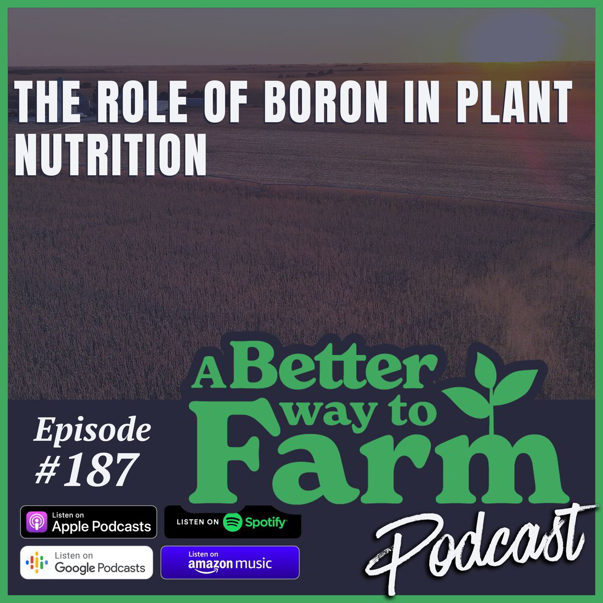 187: The Role Of Boron In Plant Nutrition