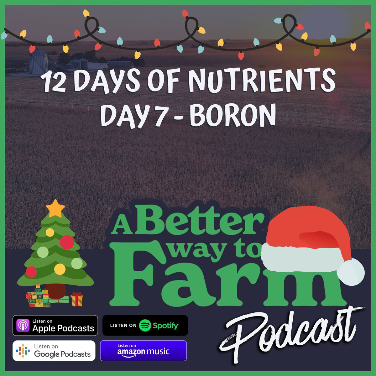220 12 Days of Nutrients Day 7 Boron