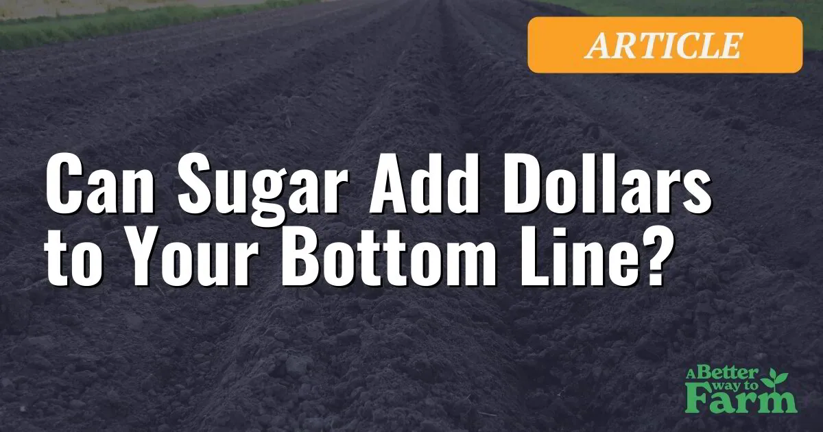 Can Sugar Add Dollars to Your Bottom Line?