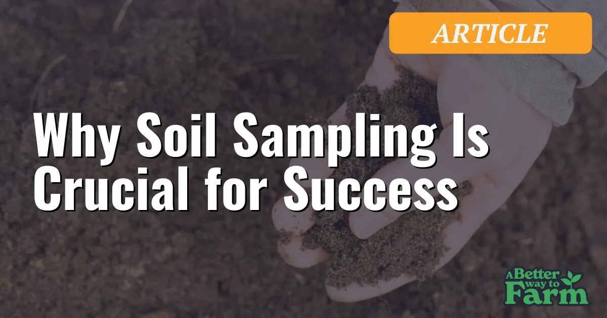 Why Soil Sampling Is Crucial for Success