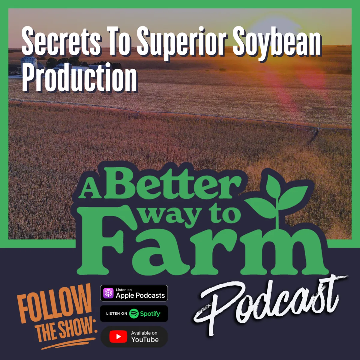 262: Secrets To Superior Soybean Production