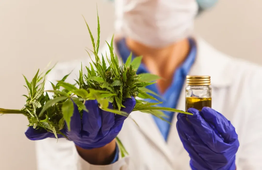 Justiça concede liminar para associação de pacientes AbraRio cultivar Cannabis
