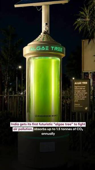 India's First Algae Tree Installed in Bhopal
