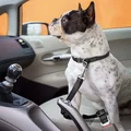 TravelMate Canine Seatbelt