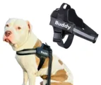 Canine Reflective Harness