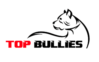 top bullies flirt pole