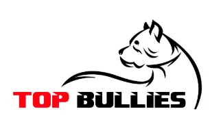 Top Bullies