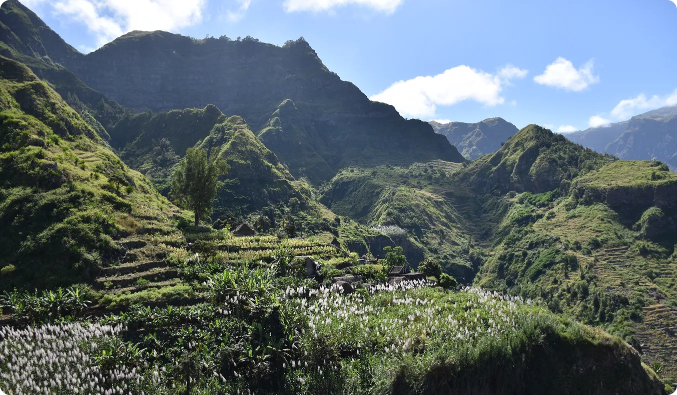 Berglandschaft mit Blumen