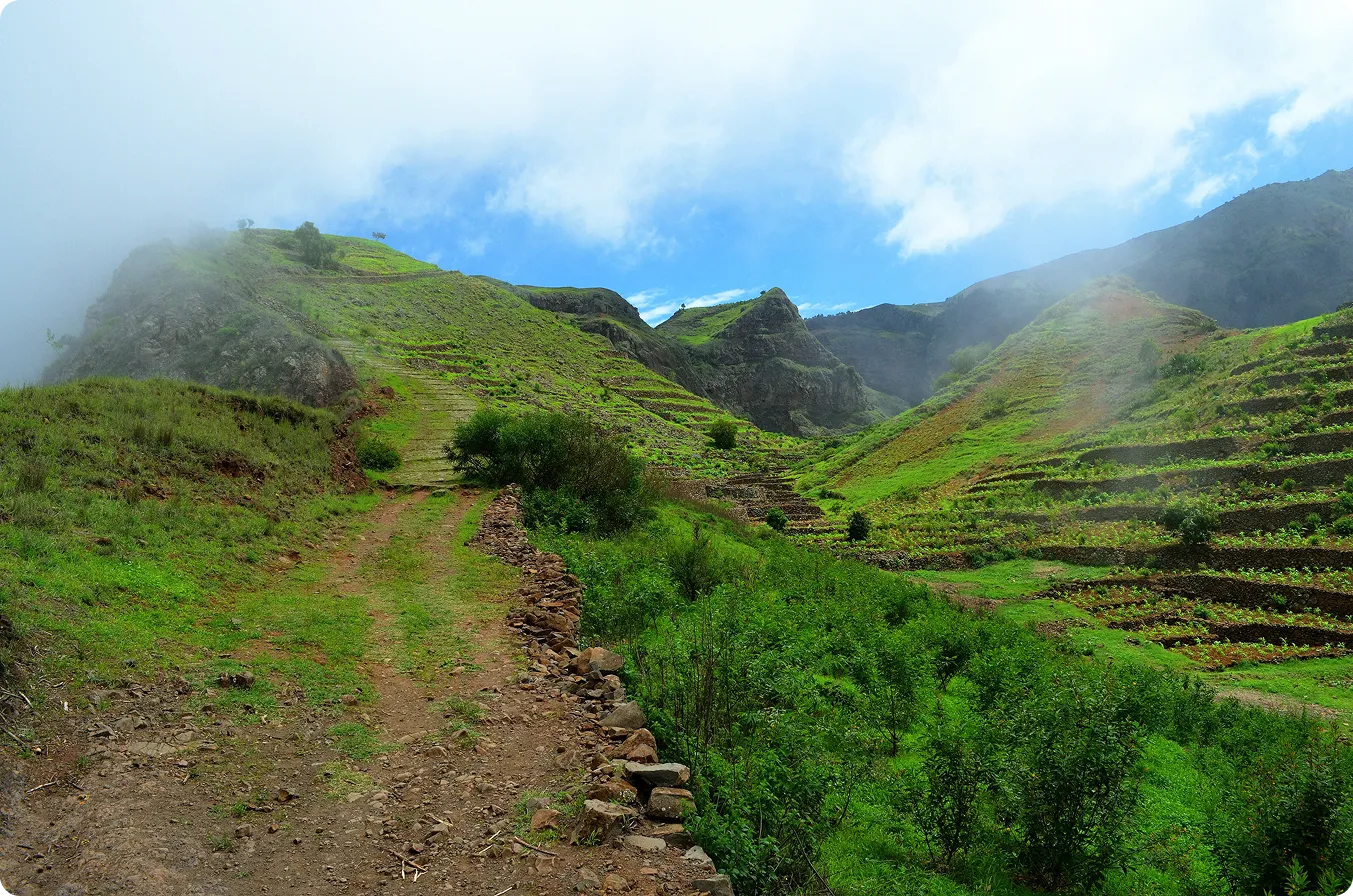 Wanderweg in den Wolken
