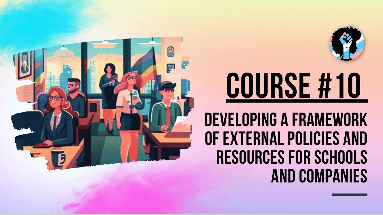 Course 10 - Developing a Framework Of External Policies And Resources For Schools And Companies 