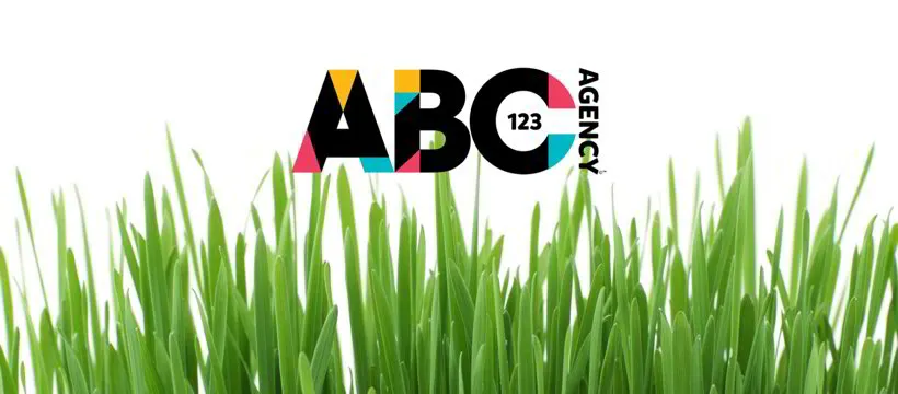 ABC123 Startup Plan