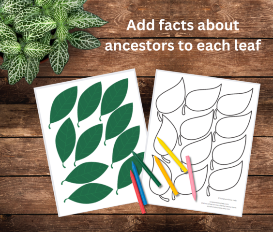 Family, Family History, Geneology Lesson Ideas &amp; Resources for Kids