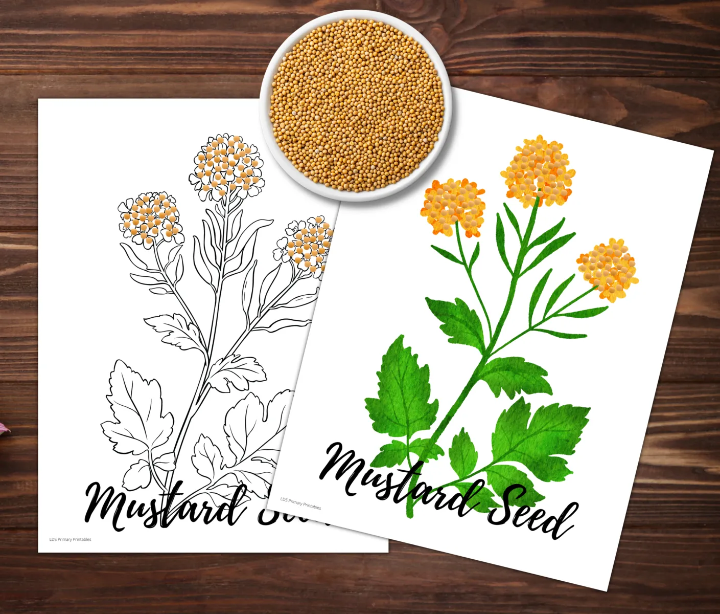 parable of mustard seed and leaven matthew mark bible kids printables