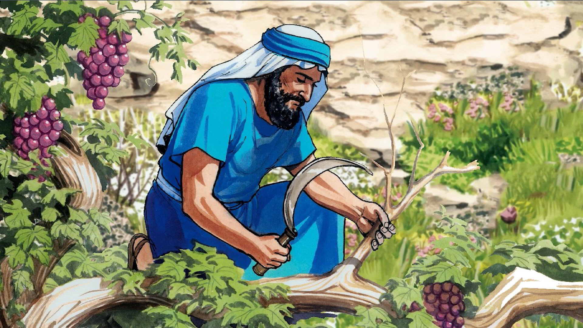 Parable of the Vine & the Branches Bible Lessons & Activities for Kids