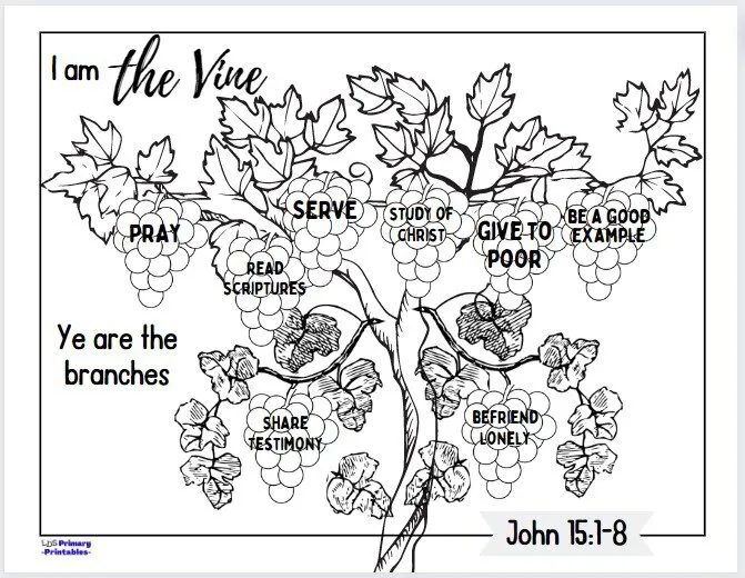 Parable of the Vine & the Branches Bible Lessons & Activities for Kids