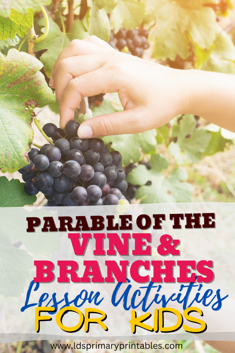 Parable of the Vine & the Branches Bible Lessons & Activities for Kids