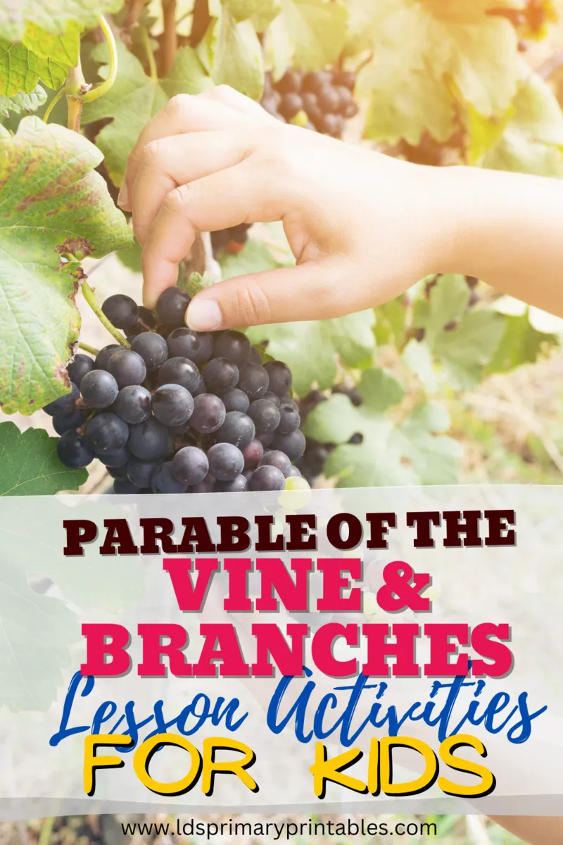 vine and the branches john parable bible lesson and activities for kids