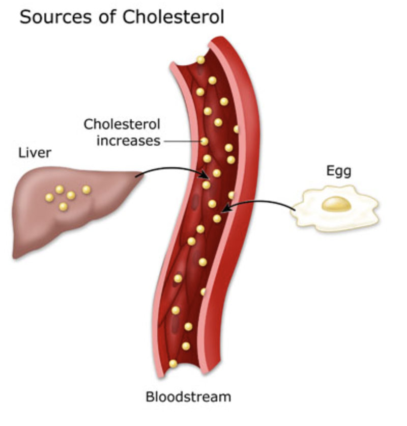 how-to-best-manage-my-diabetes