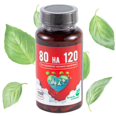 80 на 120 - Нормално кръвно налгяне