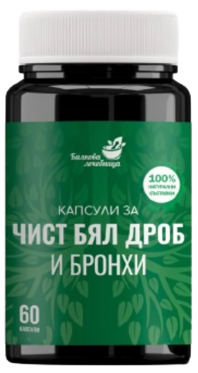 Бял дроб и бронхи