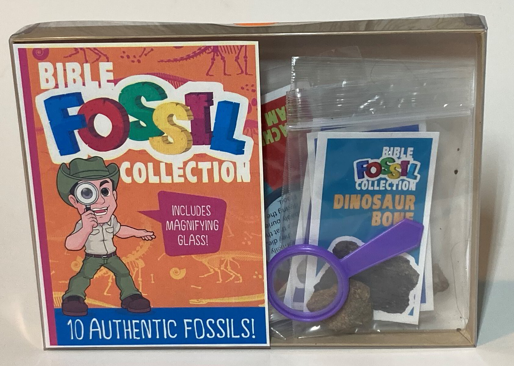 Bible Fossil Collection - FREE SHIPPING!