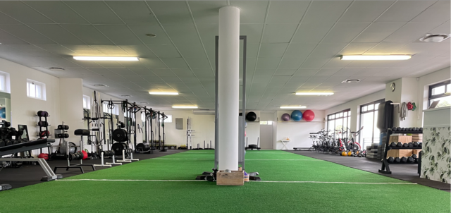Gym Membership gym-membership