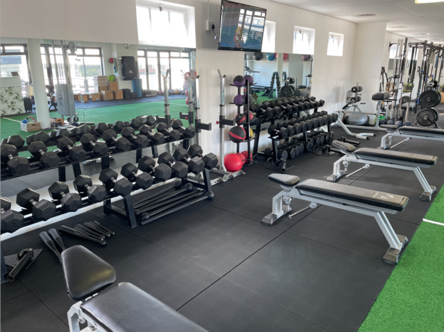 Gym Membership norse-flower-symbolism-infoupdate