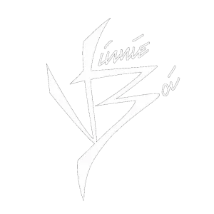 Vinnieboi.com | Everything Vinnie Boi