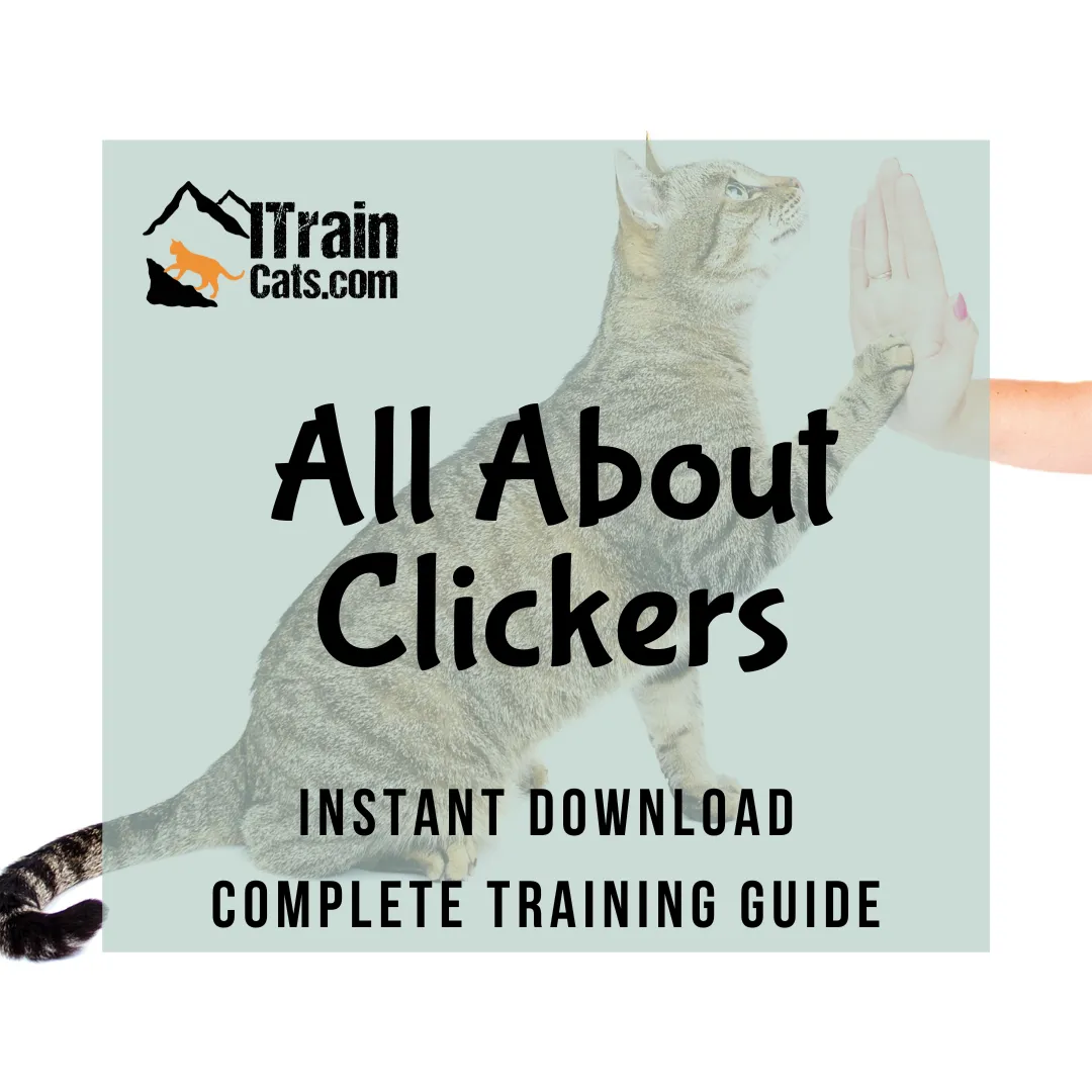 eBook: All About Clickers