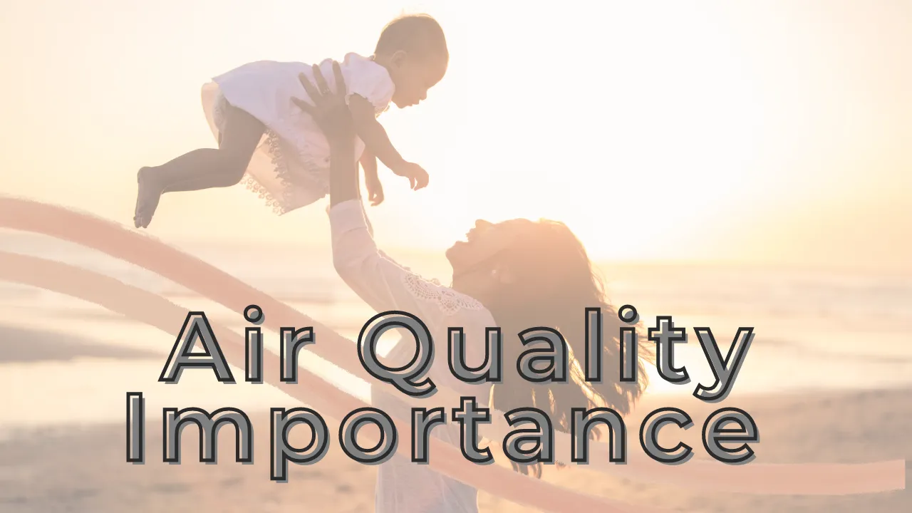Air Quality Importance