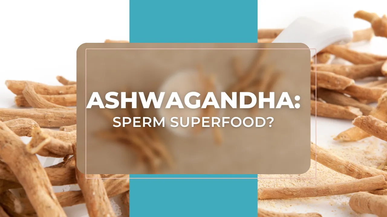 Ashwagandha: Sperm Superfood?