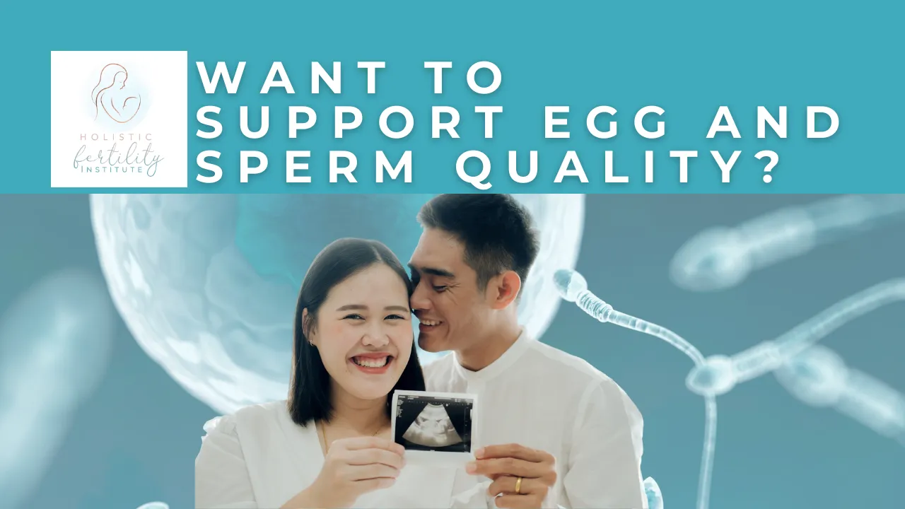 Want To Support Egg and Sperm Quality?