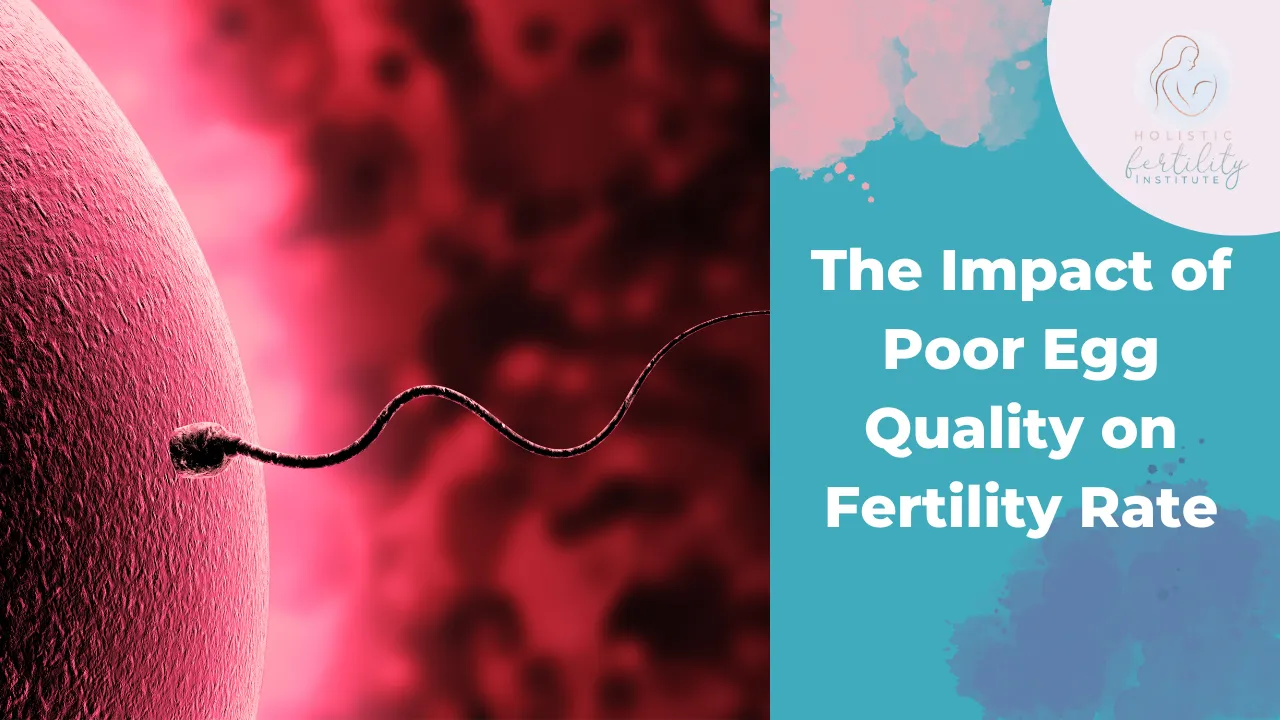 The Impact of Poor Egg Quality on Fertility Rate