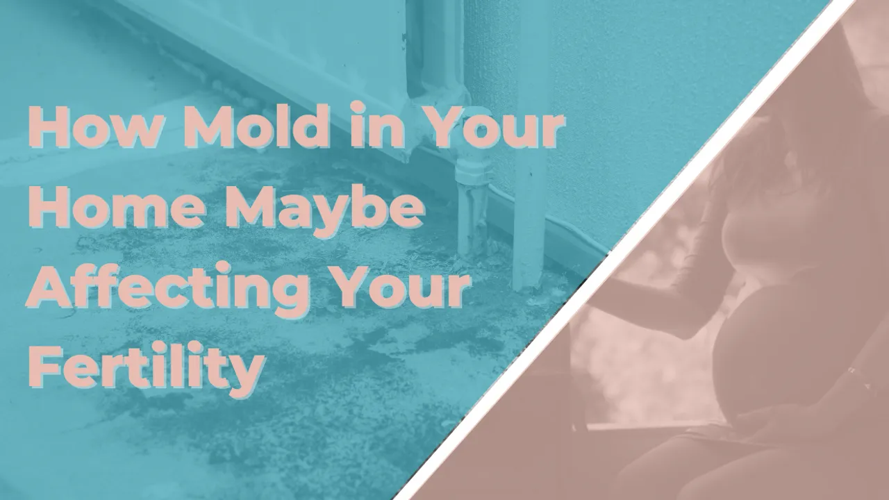 How Mold in Your Home Maybe Affecting Your Fertility