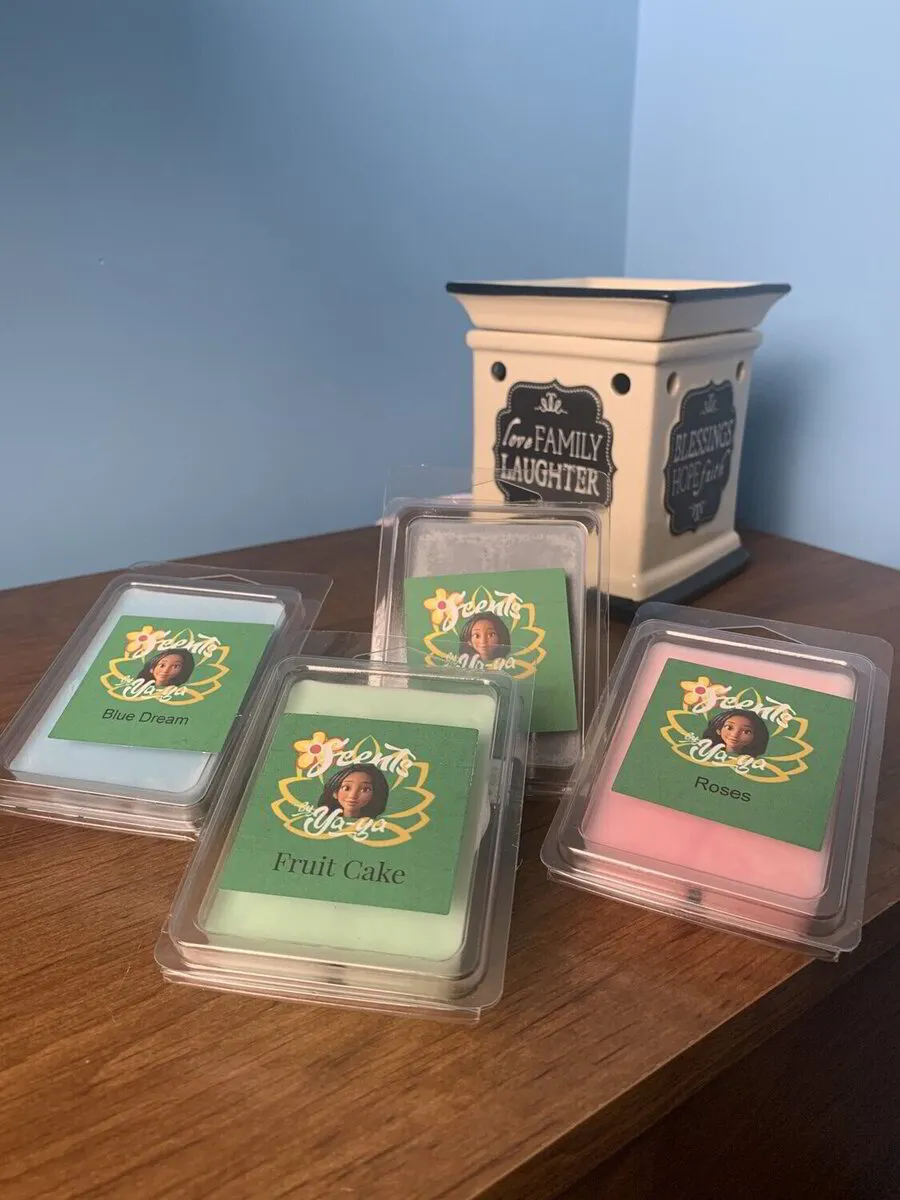 Wax Warmer & 4 Wax Melts