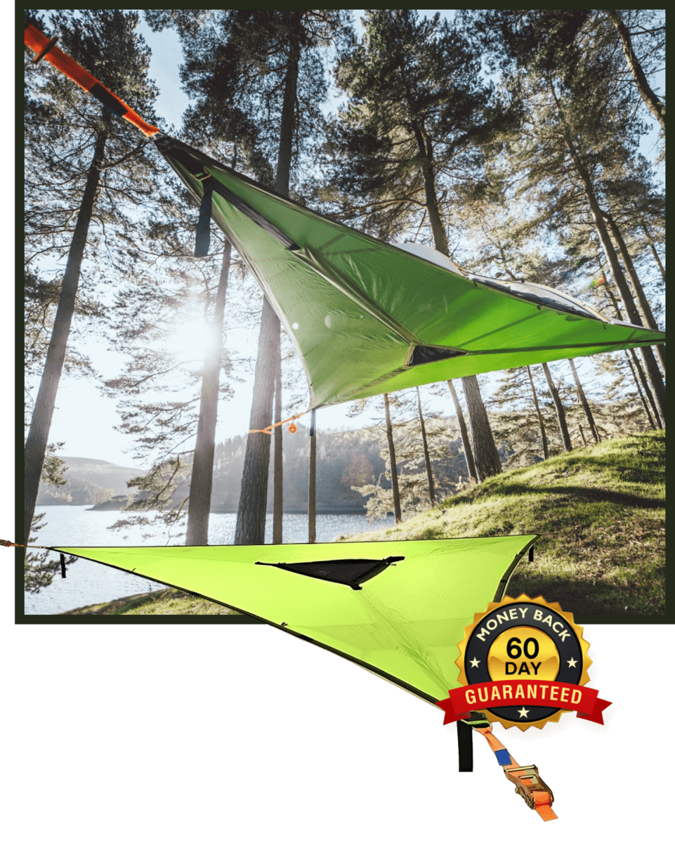 Butterfly Blooms Embroidery Set