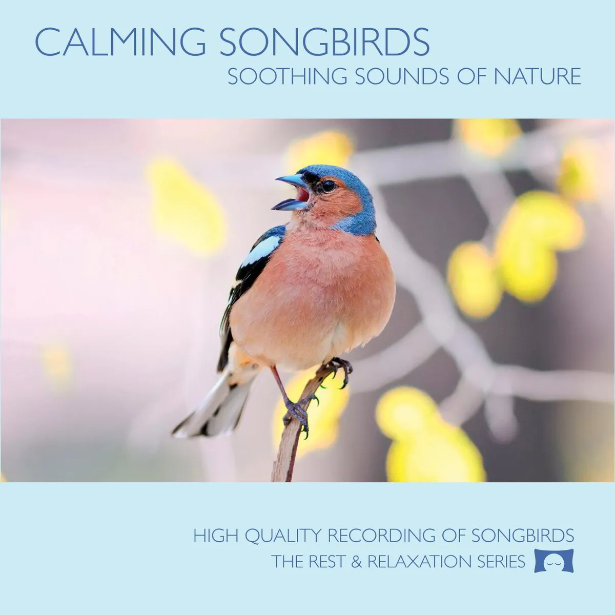 Calming Songbirds - Nature Sound Recording - Physical CD