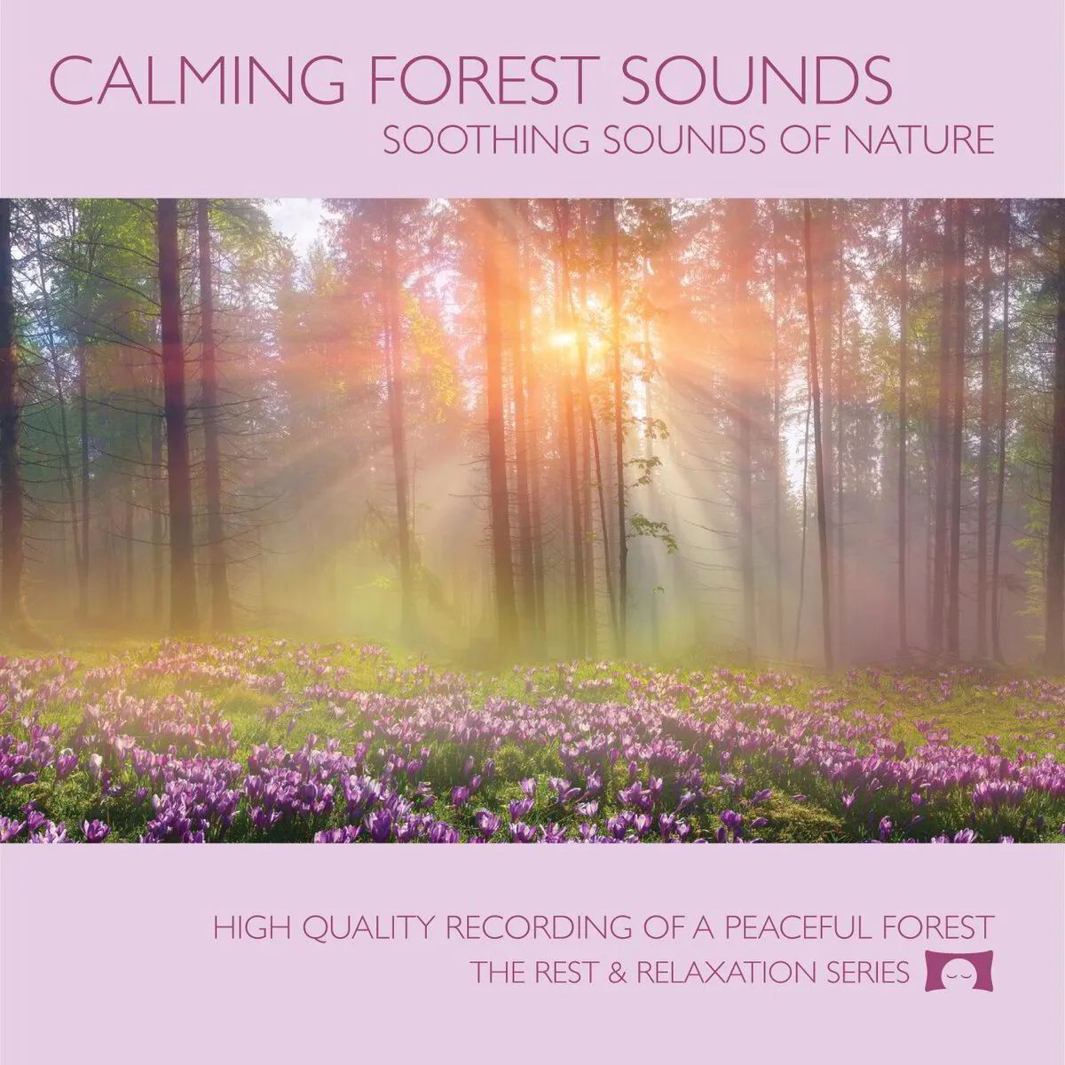Calming Forest Sounds - Nature Sound Recording - Physical CD