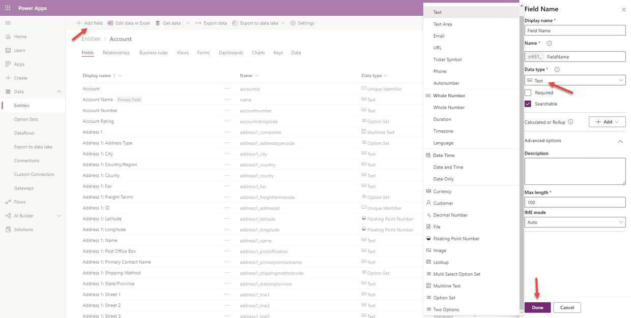 Configure Entity Fields In Microsoft Dynamics 365