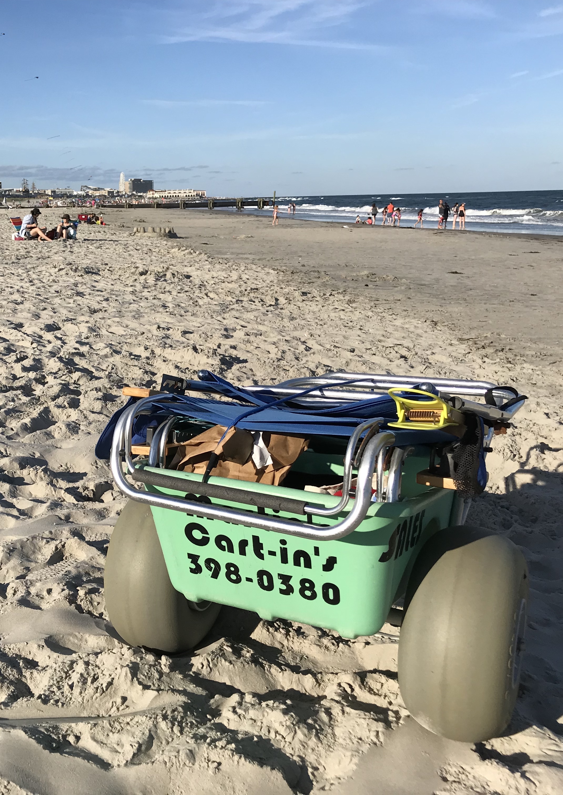 3 Week Cart Rental