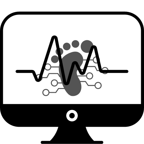 Digital Footprint Diagnostics Light